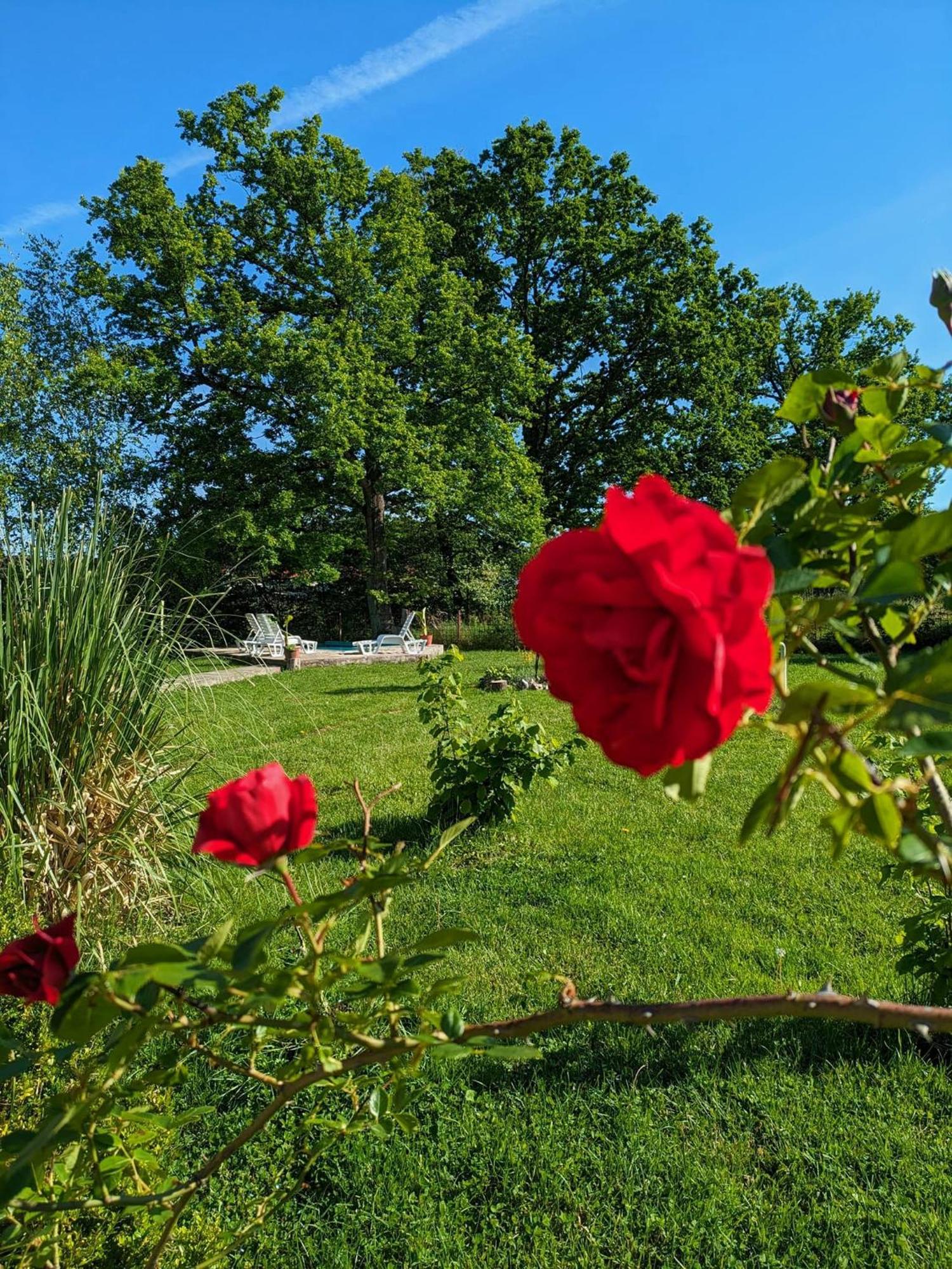 Vacation Home Keskic Velika Gata Экстерьер фото